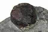 Red Embers Garnet in Graphite - Massachusetts #147843-2